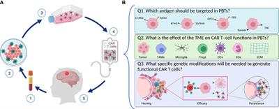 T-Cell Immunotherapy for Pediatric High-Grade Gliomas: New Insights to Overcoming Therapeutic Challenges